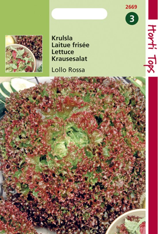 Krulsla Lollo Rossa (Lactuca) 1600 zaden